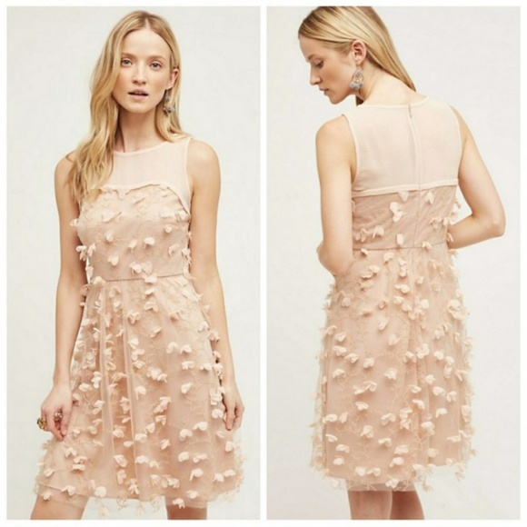 Anthropologie Dresses & Skirts - Anthropologie Eva Franco Fluttered Fleur Dress 12